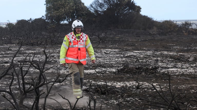 A firefighter looking at the damage caused by the fire on Dunwich Heath